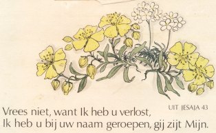 Vrees niet, want Ik heb u verlost.