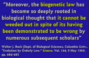 Van de biogenetische wet is aangetoond dat het onzin is.