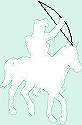 Ruiter op het witte paard.